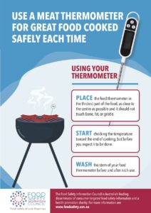 How to use a meat thermometer poster
